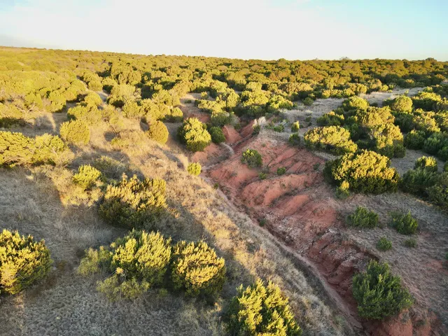 a view of a dry field