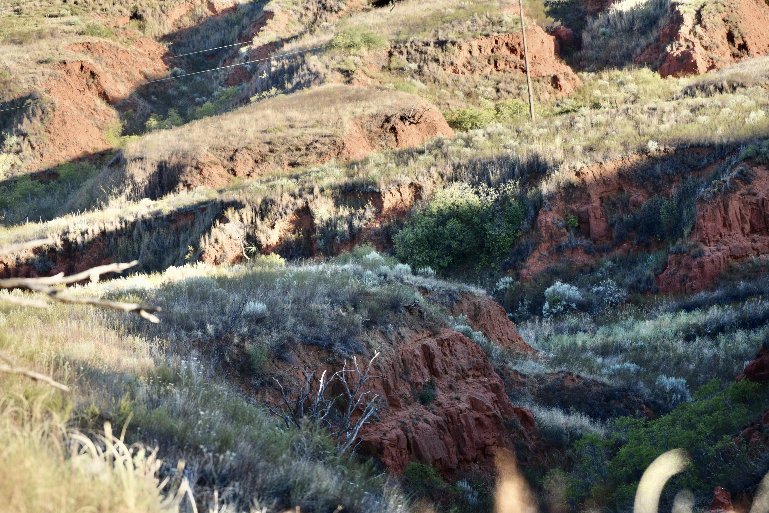 1041 Fm Memphis, TX 79245 - Photo 39 of 72 a view of a yard