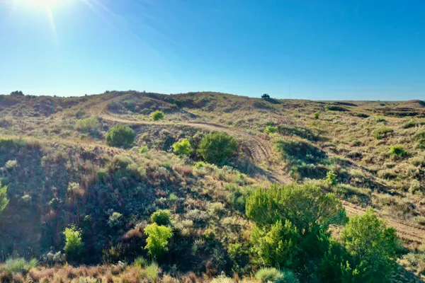 a view of a mountain in the distance in a field