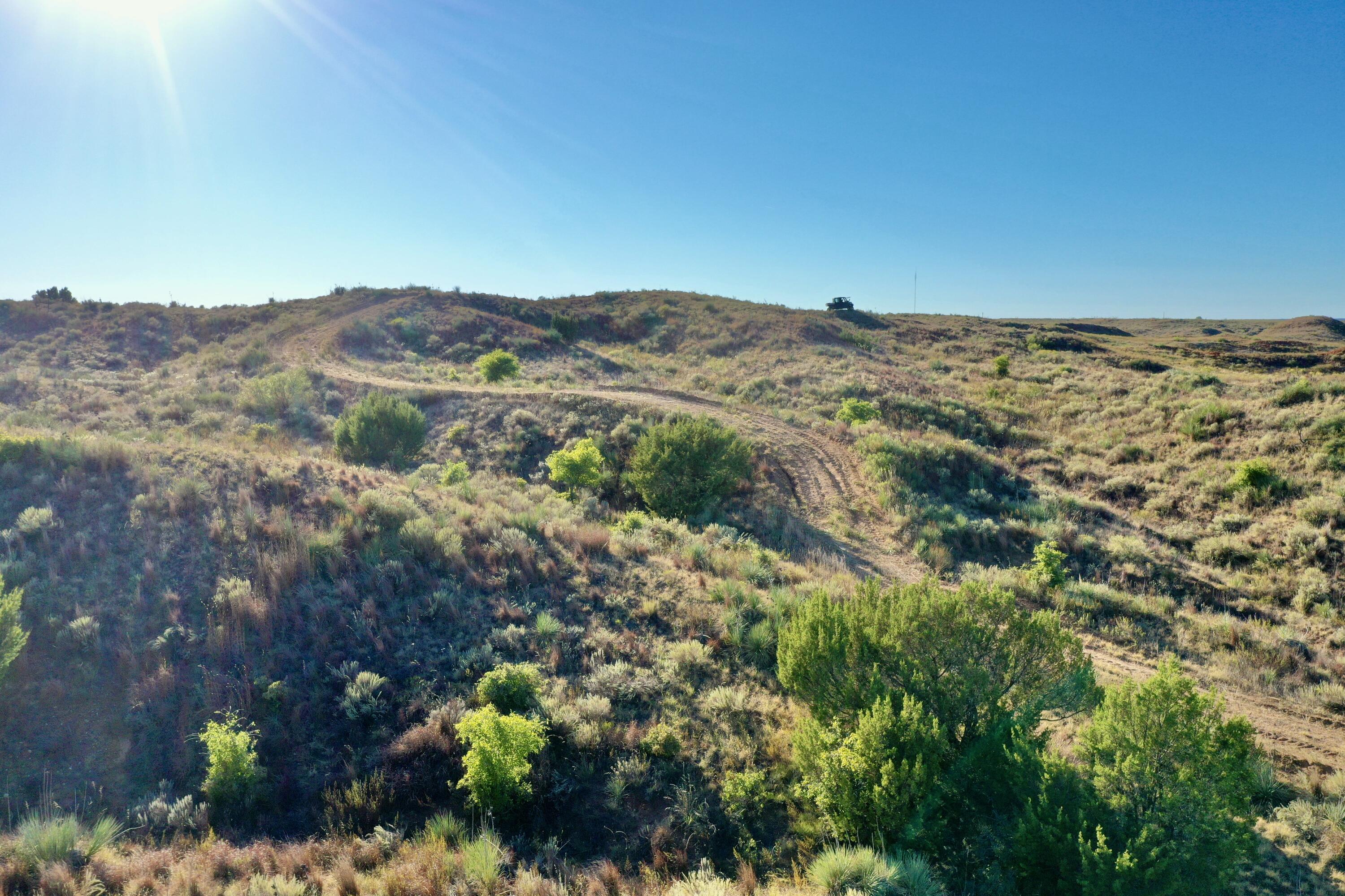 1041 Fm Memphis, TX 79245 - Photo 4 of 72 a view of a mountain in the distance in a field