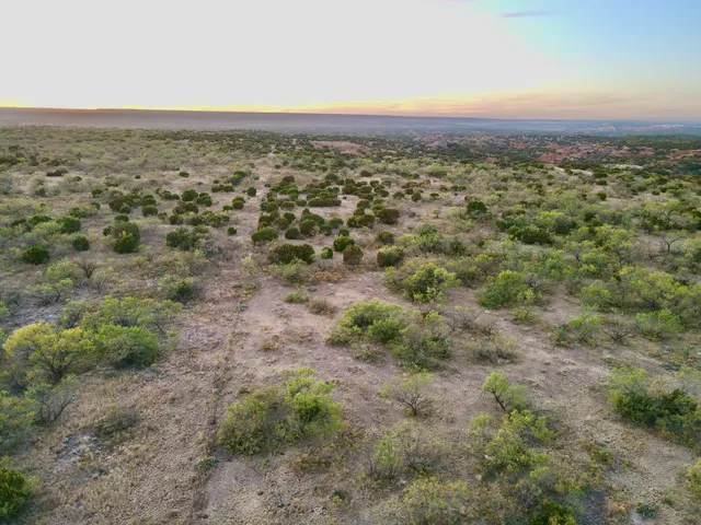 a view of a city with lush green forest