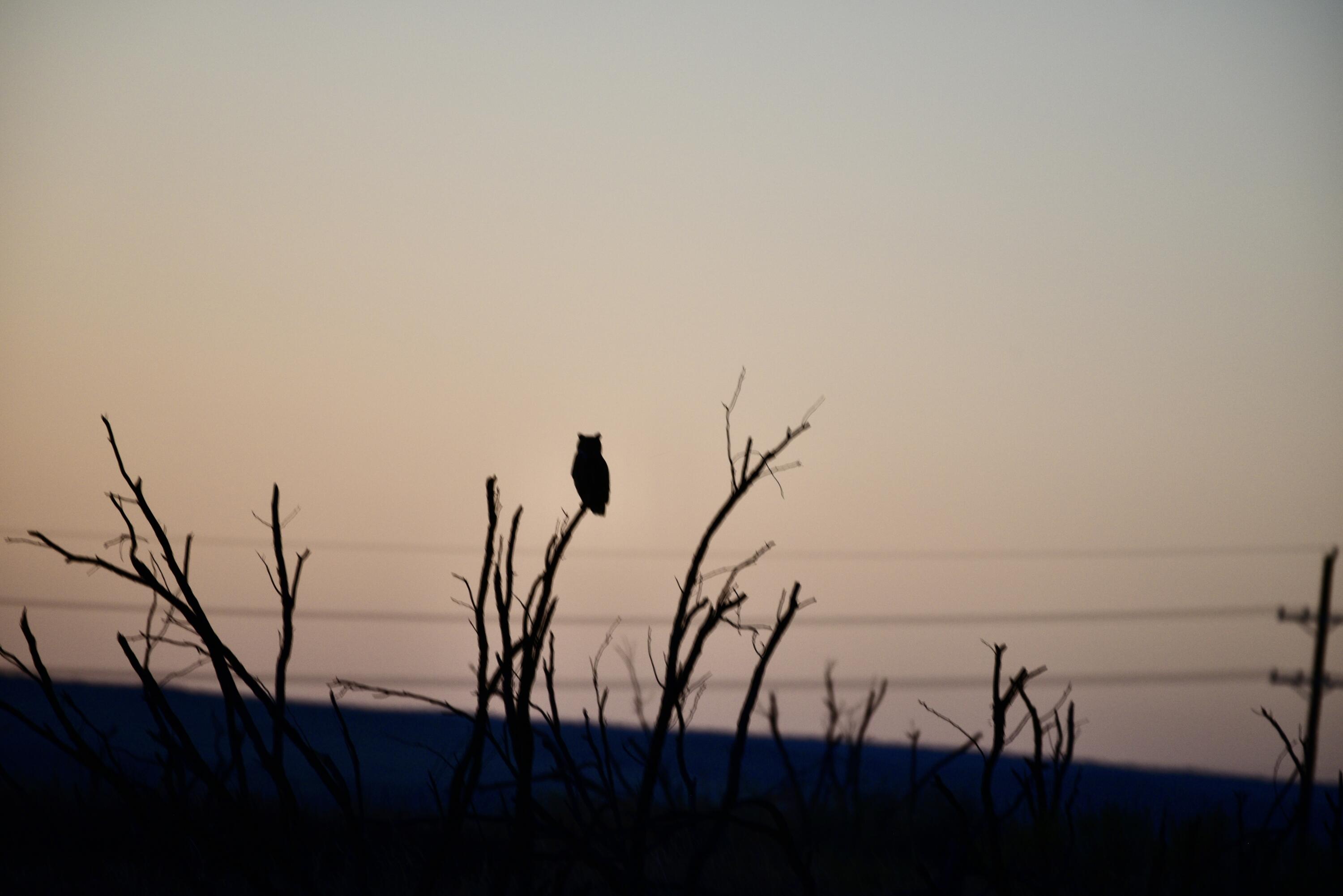 1041 Fm Memphis, TX 79245 - Photo 48 of 72 DSC_4233