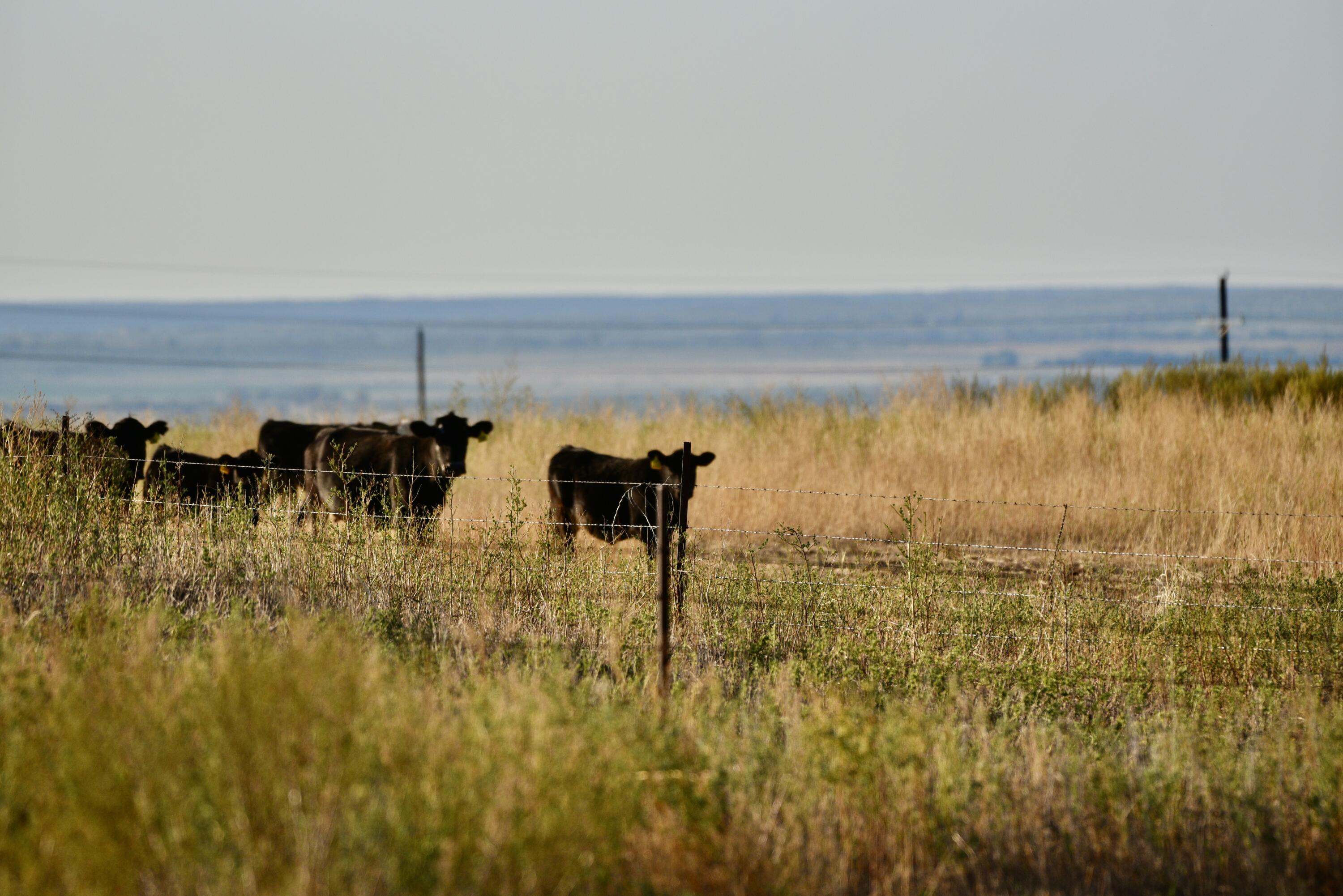 1041 Fm Memphis, TX 79245 - Photo 50 of 72 DSC_4273