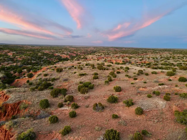 a view of a city with an ocean