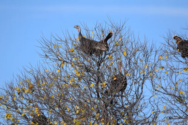 $1,115,550 | 1041 Fm, Memphis, TX 79245