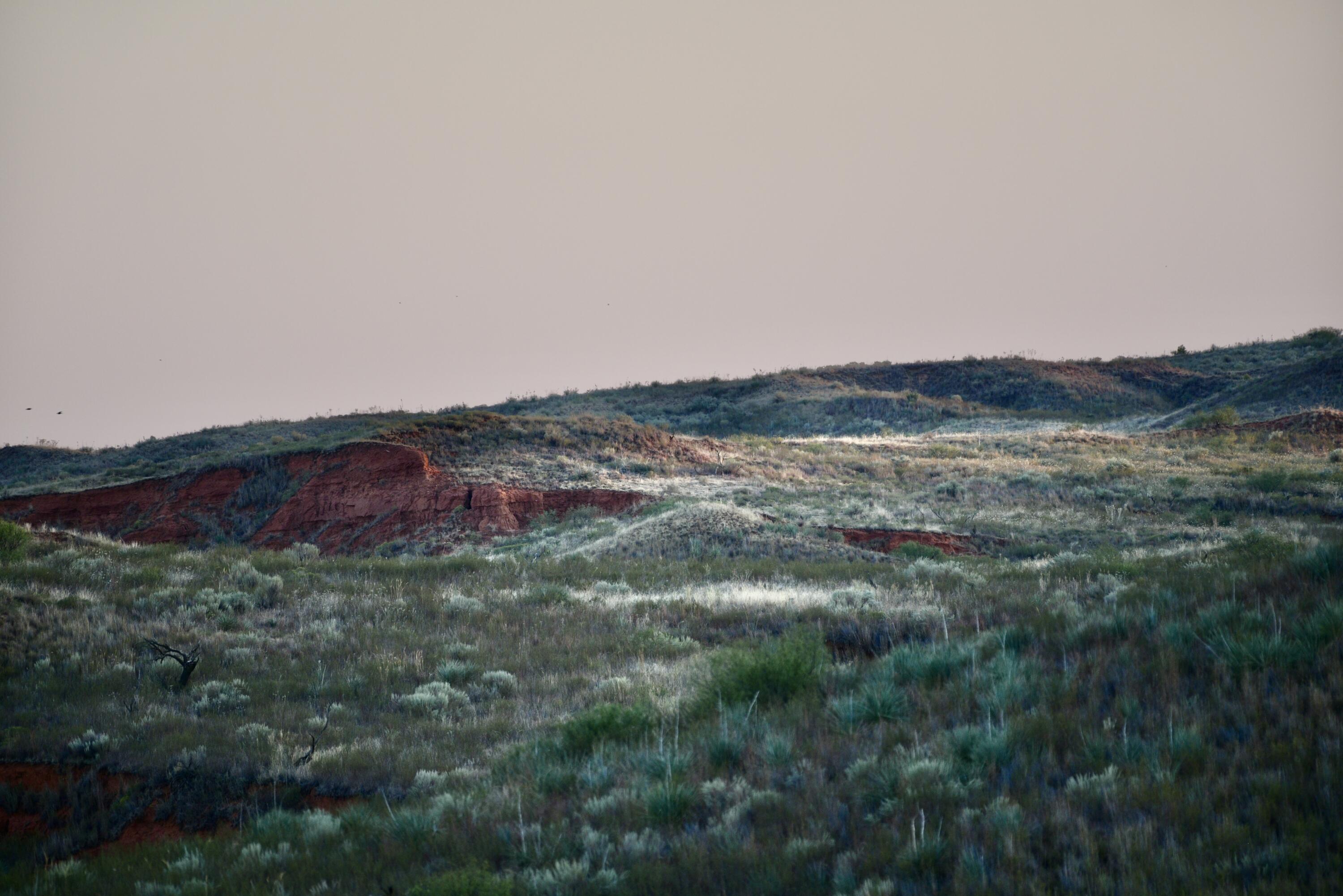1041 Fm Memphis, TX 79245 - Photo 53 of 72 a view of a field with an ocean