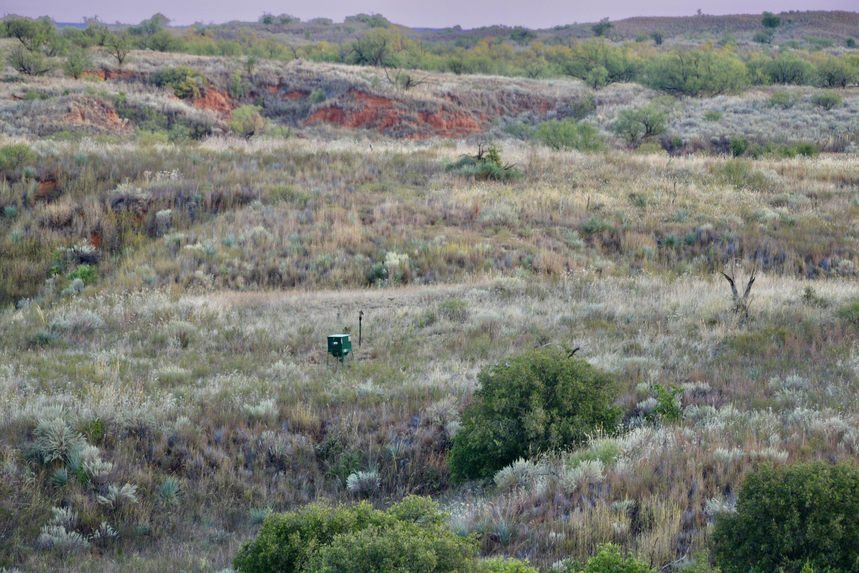1041 Fm Memphis, TX 79245 - Photo 54 of 72 an aerial view of residential houses with outdoor space and trees
