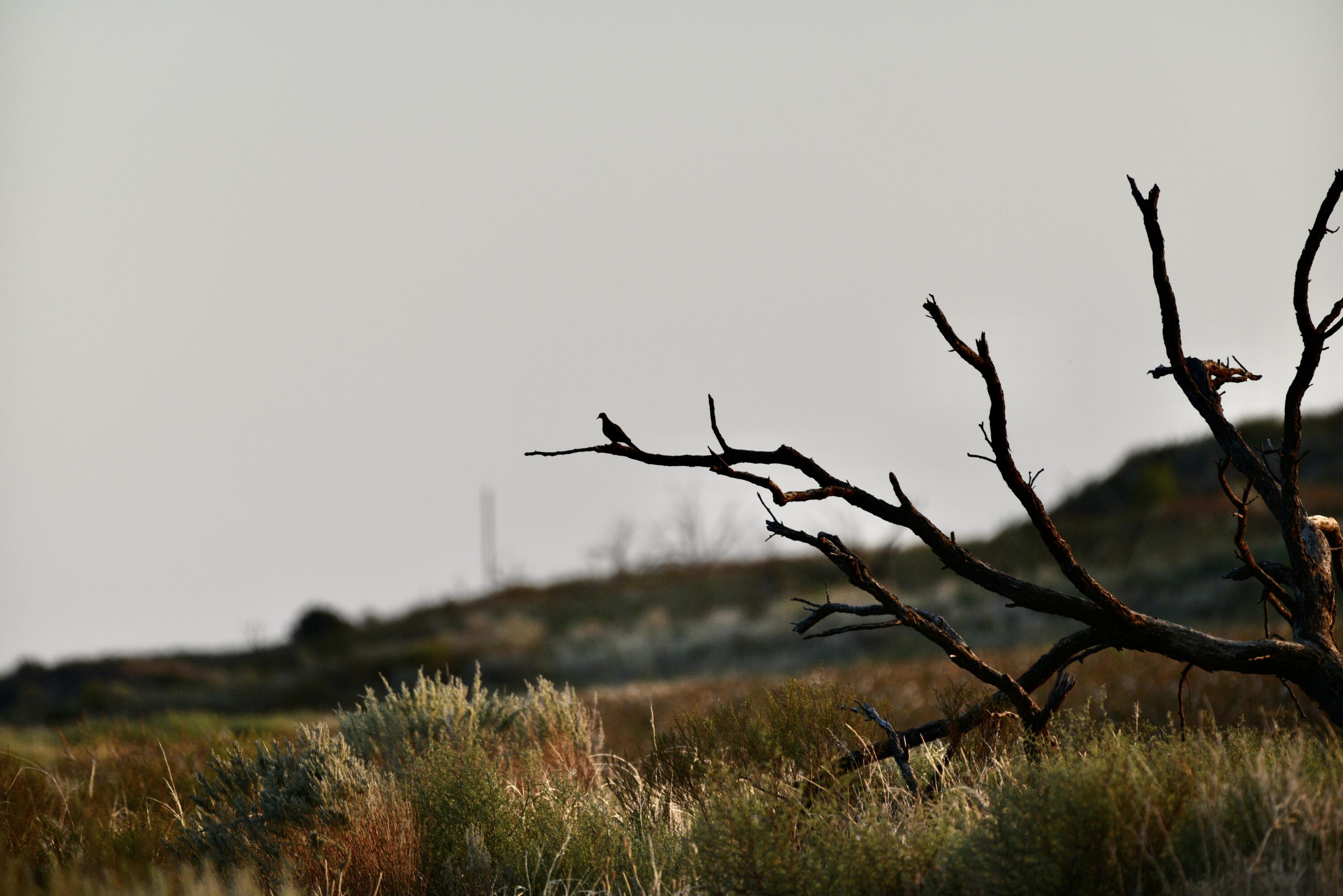 1041 Fm Memphis, TX 79245 - Photo 56 of 72 a view of a lake