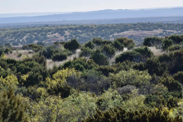 $1,115,550 | 1041 Fm, Memphis, TX 79245