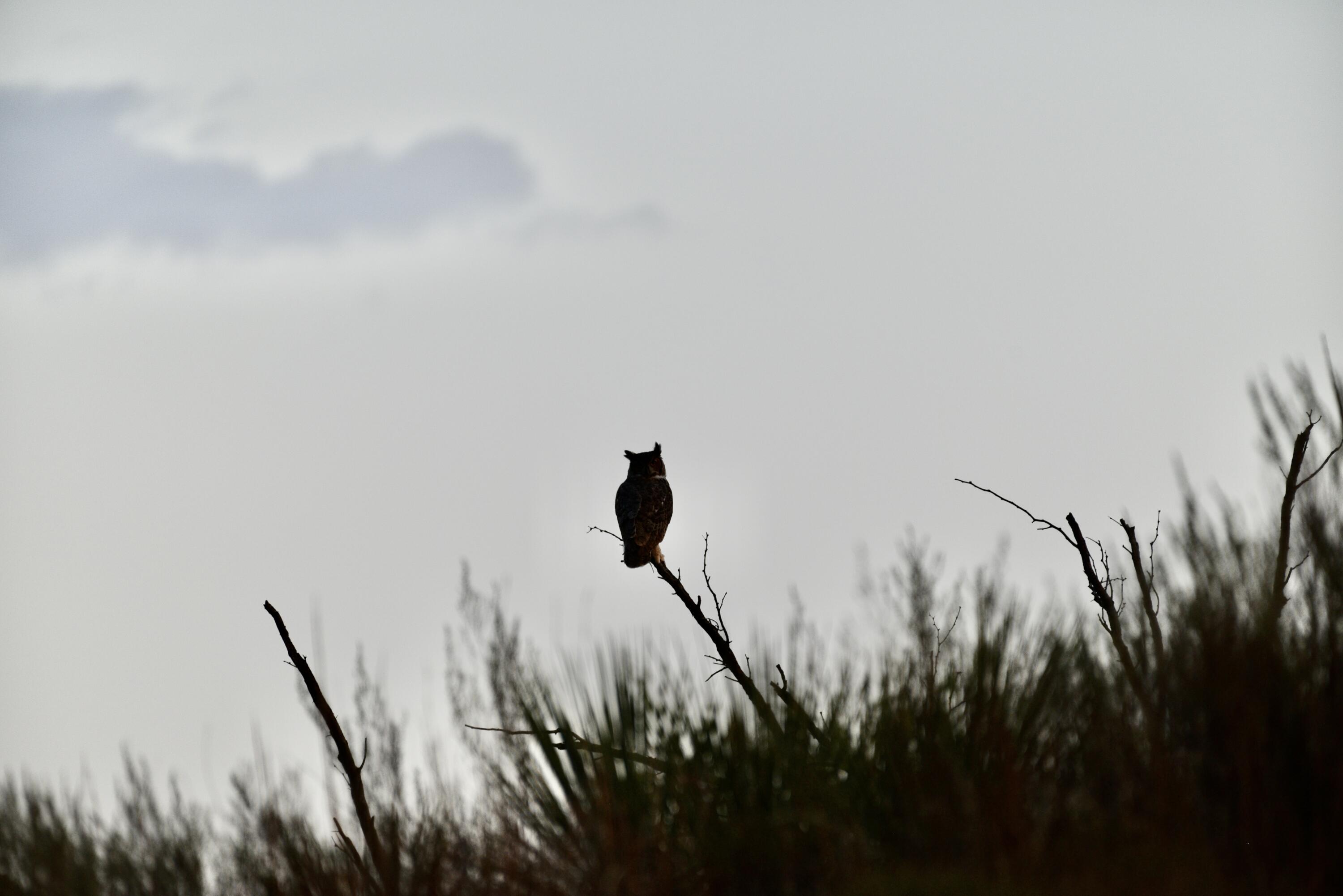 1041 Fm Memphis, TX 79245 - Photo 57 of 72 a view of a backyard