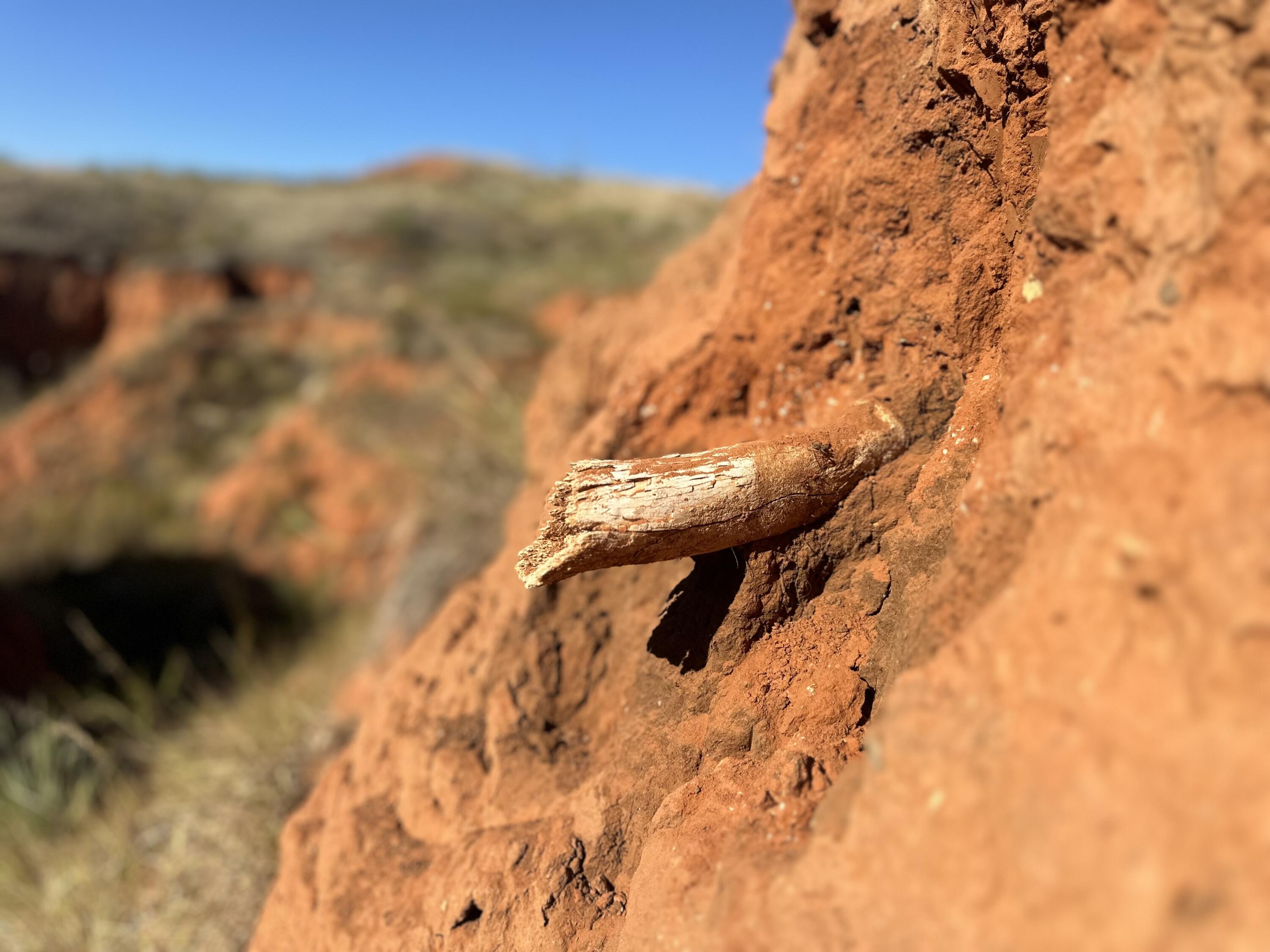 1041 Fm Memphis, TX 79245 - Photo 58 of 72 a view of a yard