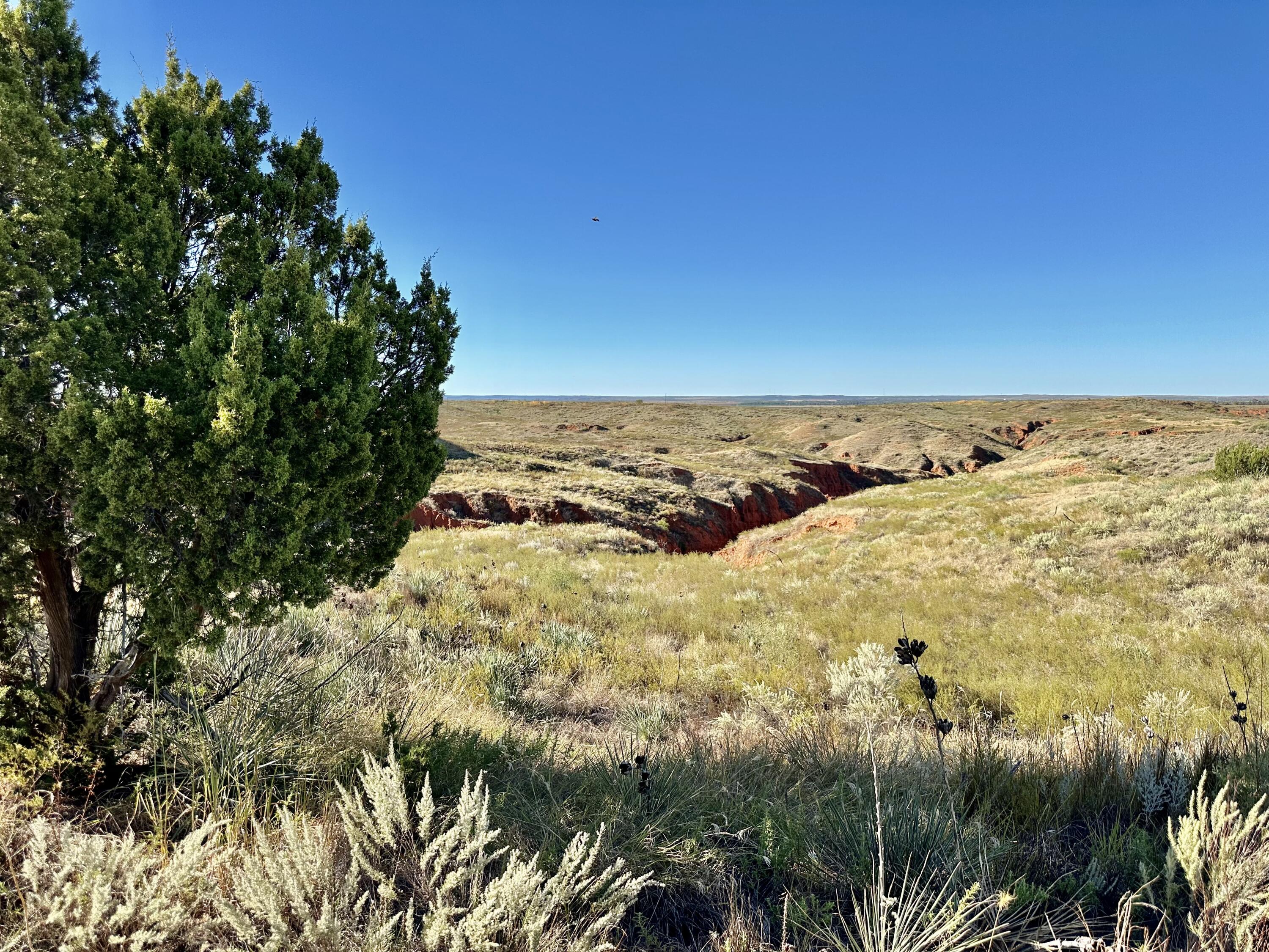 1041 Fm Memphis, TX 79245 - Photo 59 of 72 a view of beach and ocean