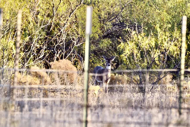 $1,115,550 | 1041 Fm, Memphis, TX 79245