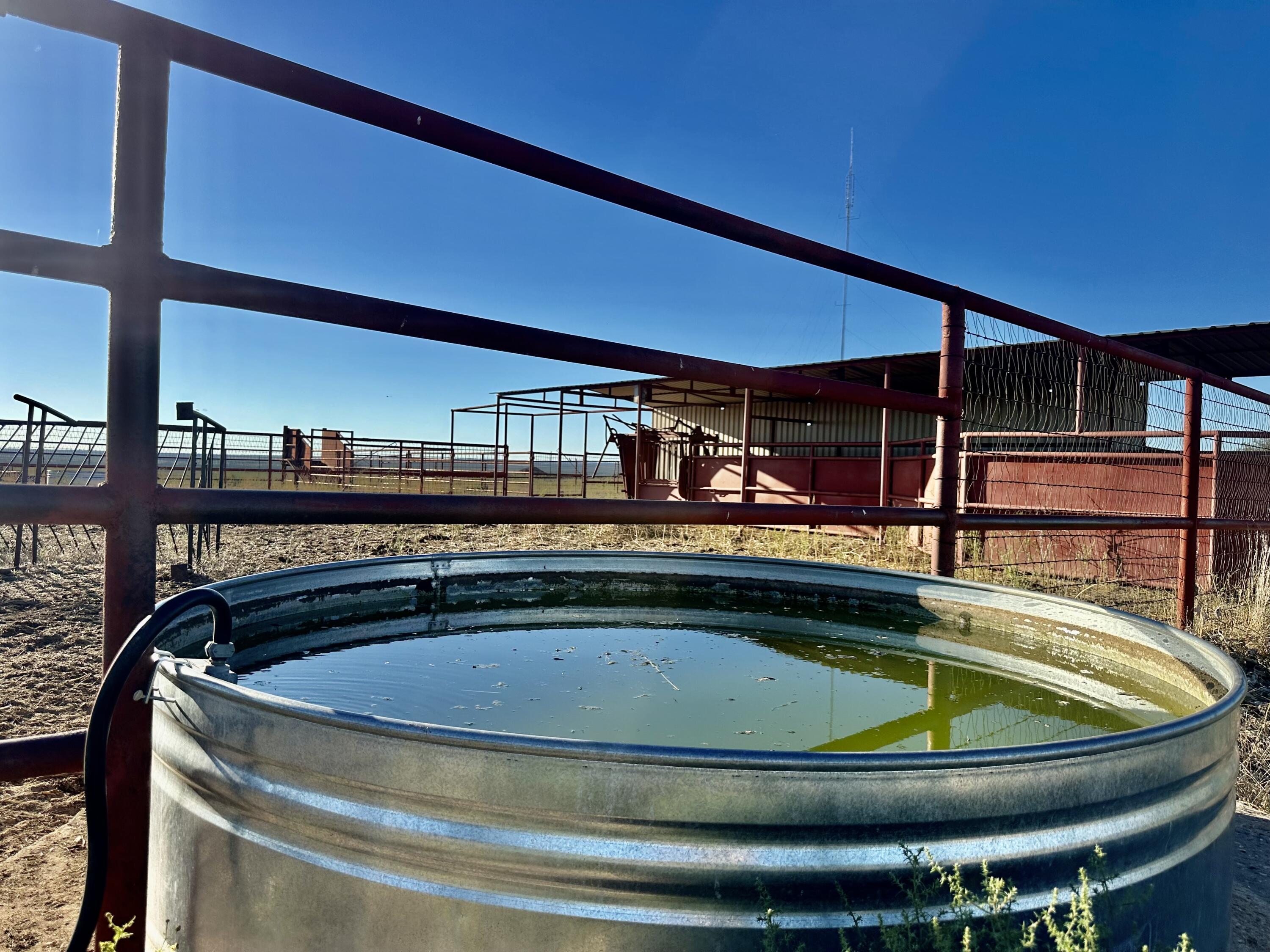 1041 Fm Memphis, TX 79245 - Photo 60 of 72 IMG_0734 2