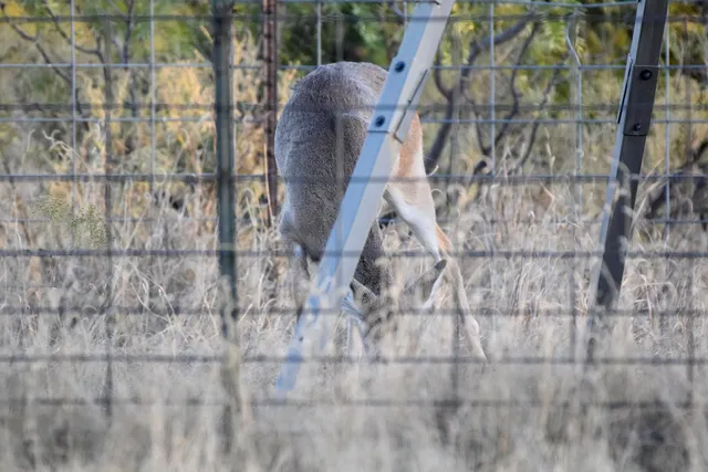 $1,115,550 | 1041 Fm, Memphis, TX 79245