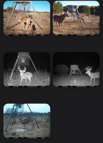 $1,115,550 | 1041 Fm, Memphis, TX 79245