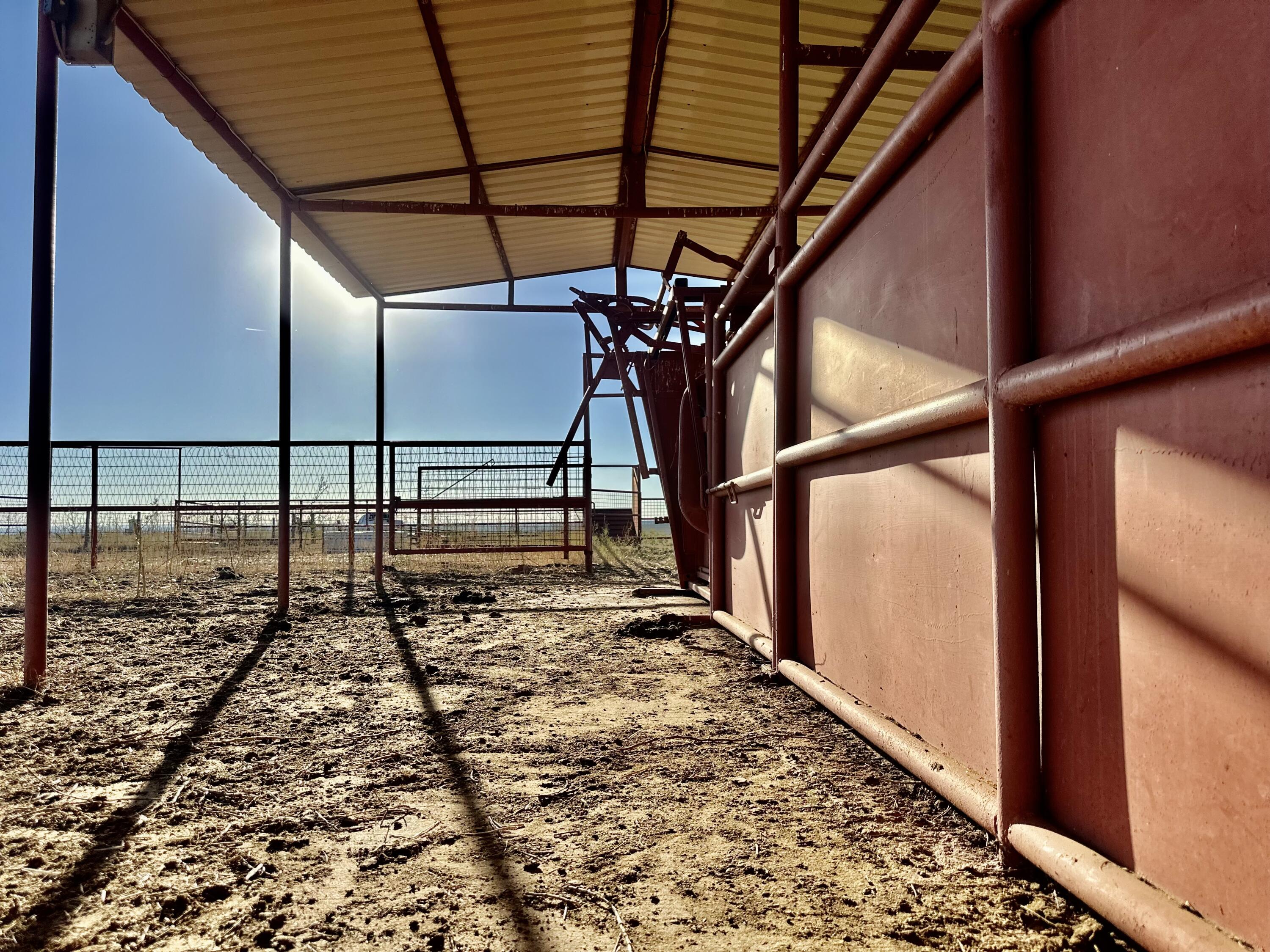 1041 Fm Memphis, TX 79245 - Photo 64 of 72 IMG_0739 2