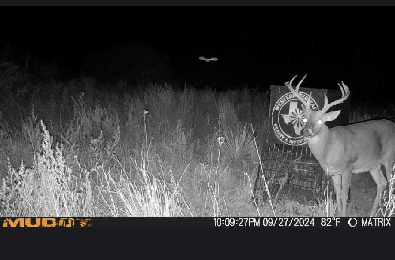 1041 Fm Memphis, TX 79245 - Photo 68 of 72 IMG_0756