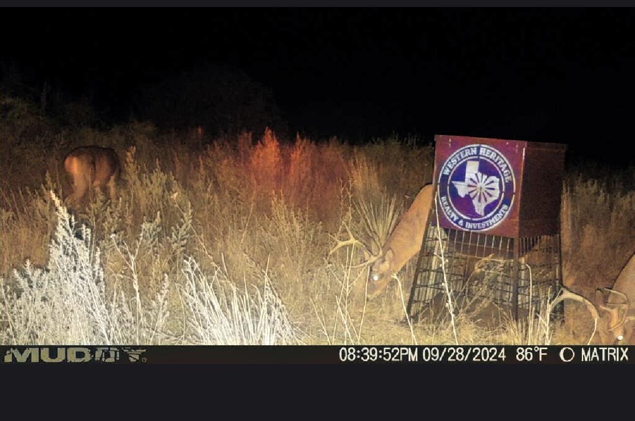 1041 Fm Memphis, TX 79245 - Photo 72 of 72 IMG_0775