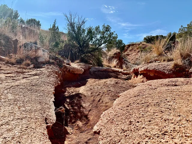 $1,115,550 | 1041 Fm, Memphis, TX 79245