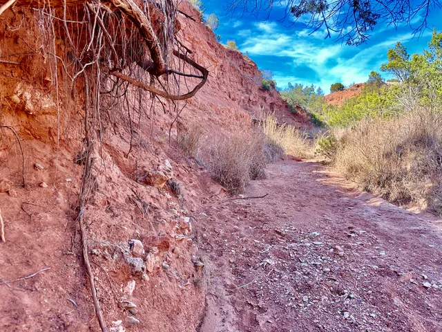 $1,115,550 | 1041 Fm, Memphis, TX 79245