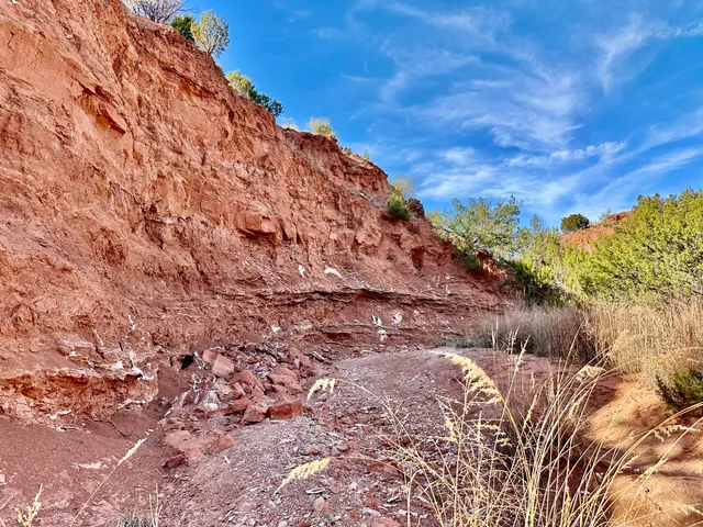 $1,115,550 | 1041 Fm, Memphis, TX 79245