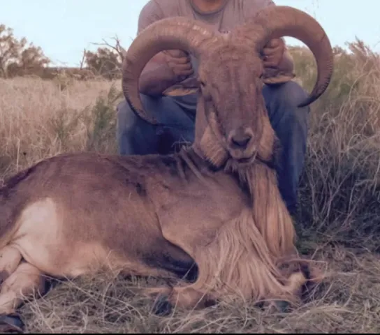 $1,115,550 | 1041 Fm, Memphis, TX 79245