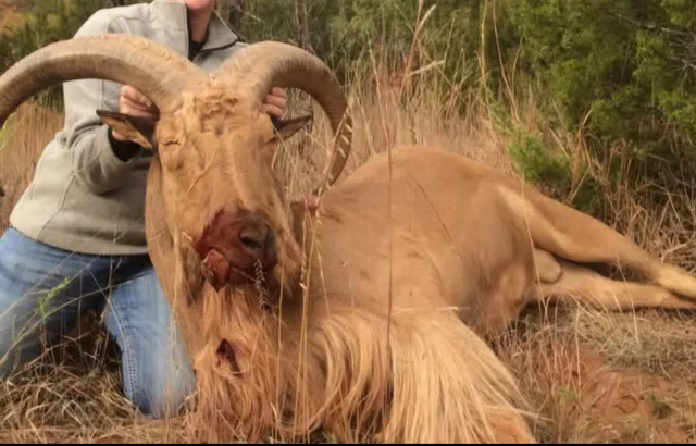 $1,115,550 | 1041 Fm, Memphis, TX 79245