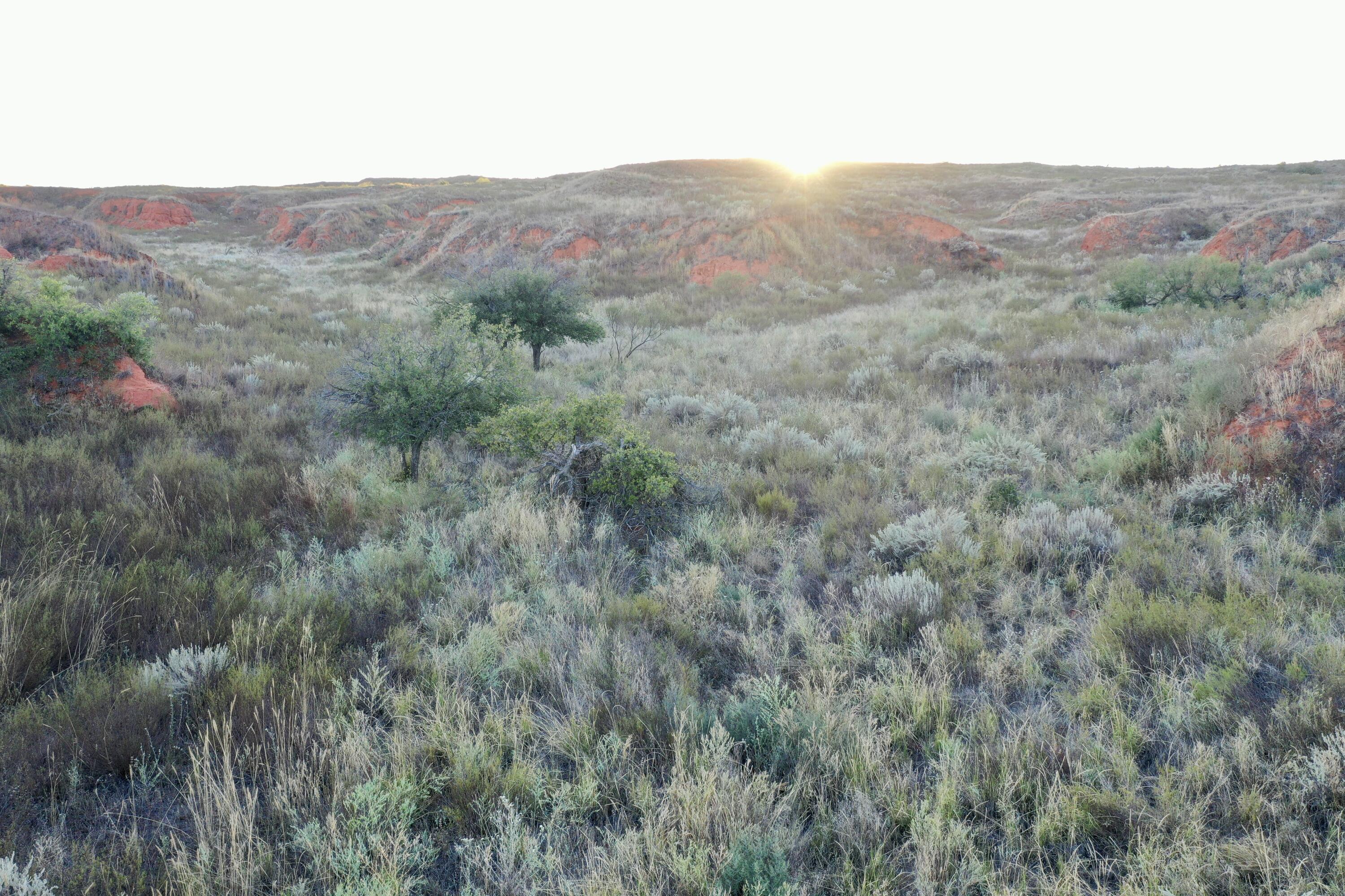 1041 Fm Memphis, TX 79245 - Photo 10 of 72 a view of a mountain range with trees in the background