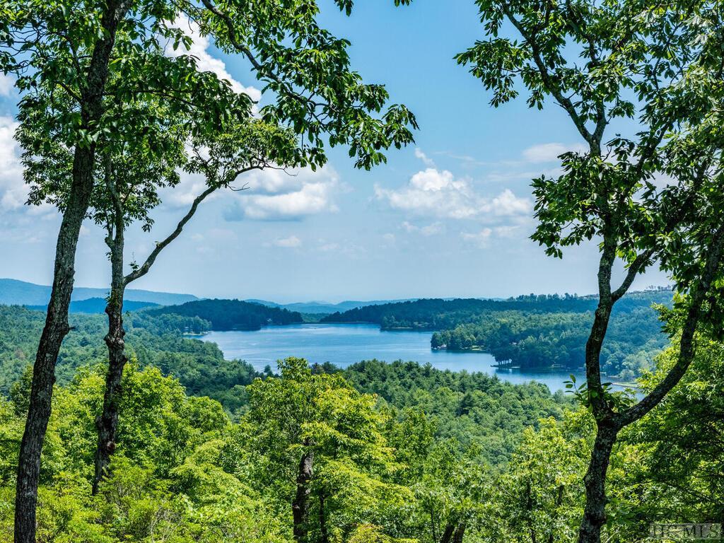 478 Panther Ridge Road Lake Toxaway, NC 28747 - Photo 2 of 57 Gallery Image 2