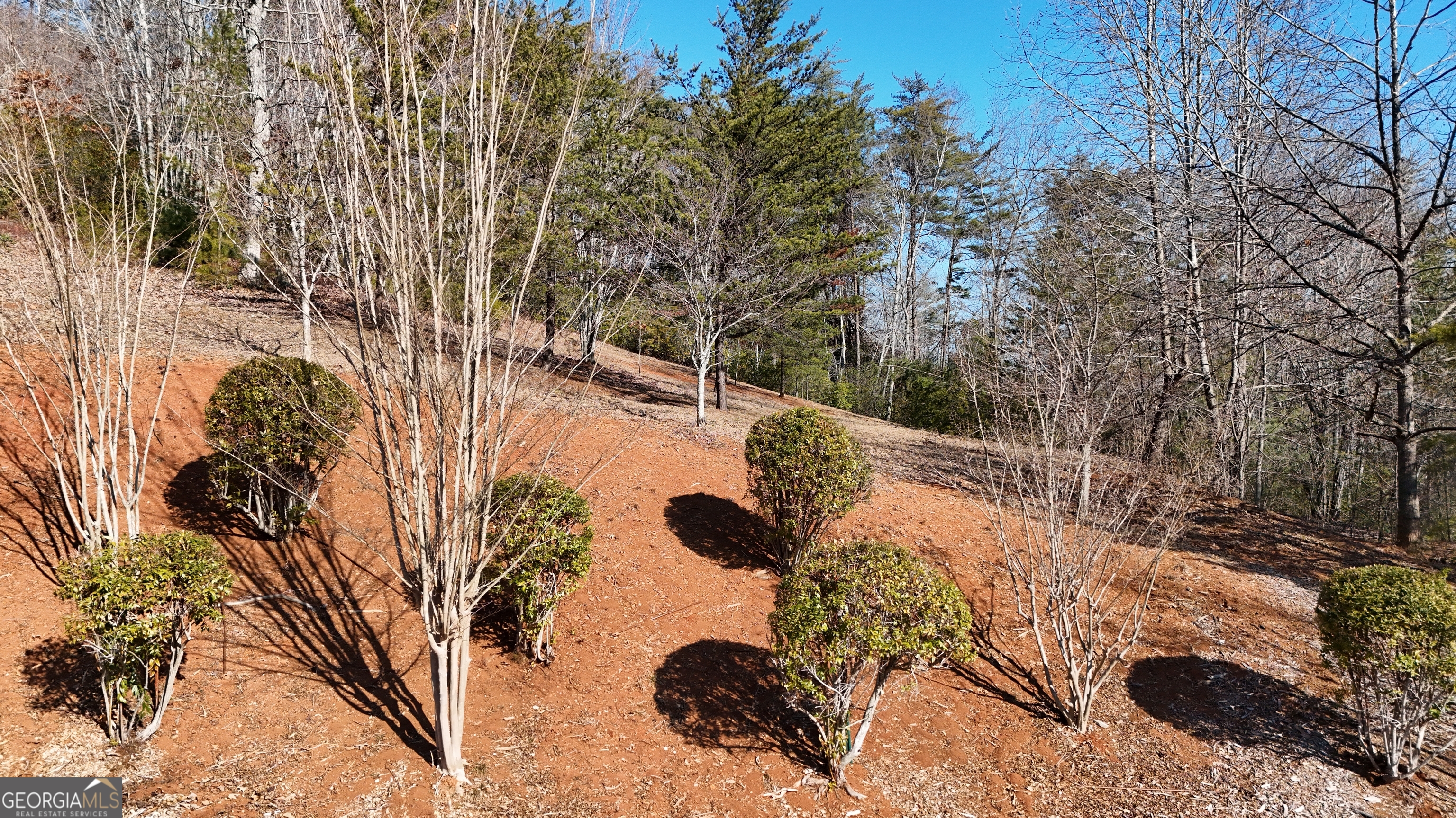 120 Ridgeland Sautee Nacoochee, GA 30571 - Photo 65 of 66