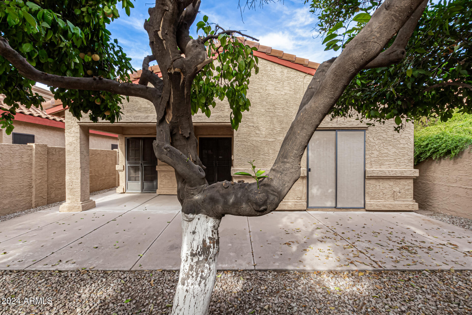 4831 West Del Rio Street Chandler, AZ 85226 - Photo 31 of 32 31-Del Rio