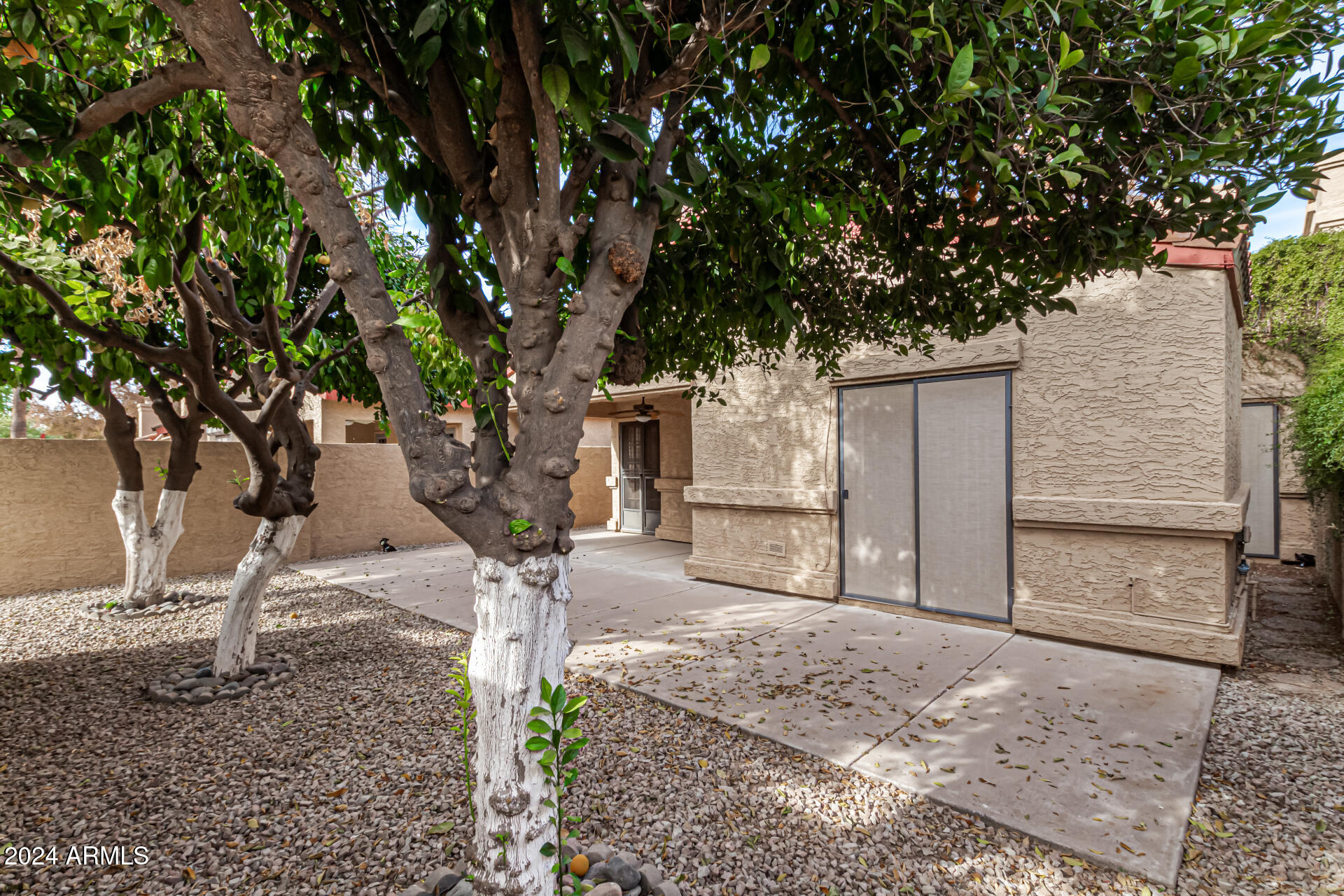 4831 West Del Rio Street Chandler, AZ 85226 - Photo 32 of 32 32-Del Rio