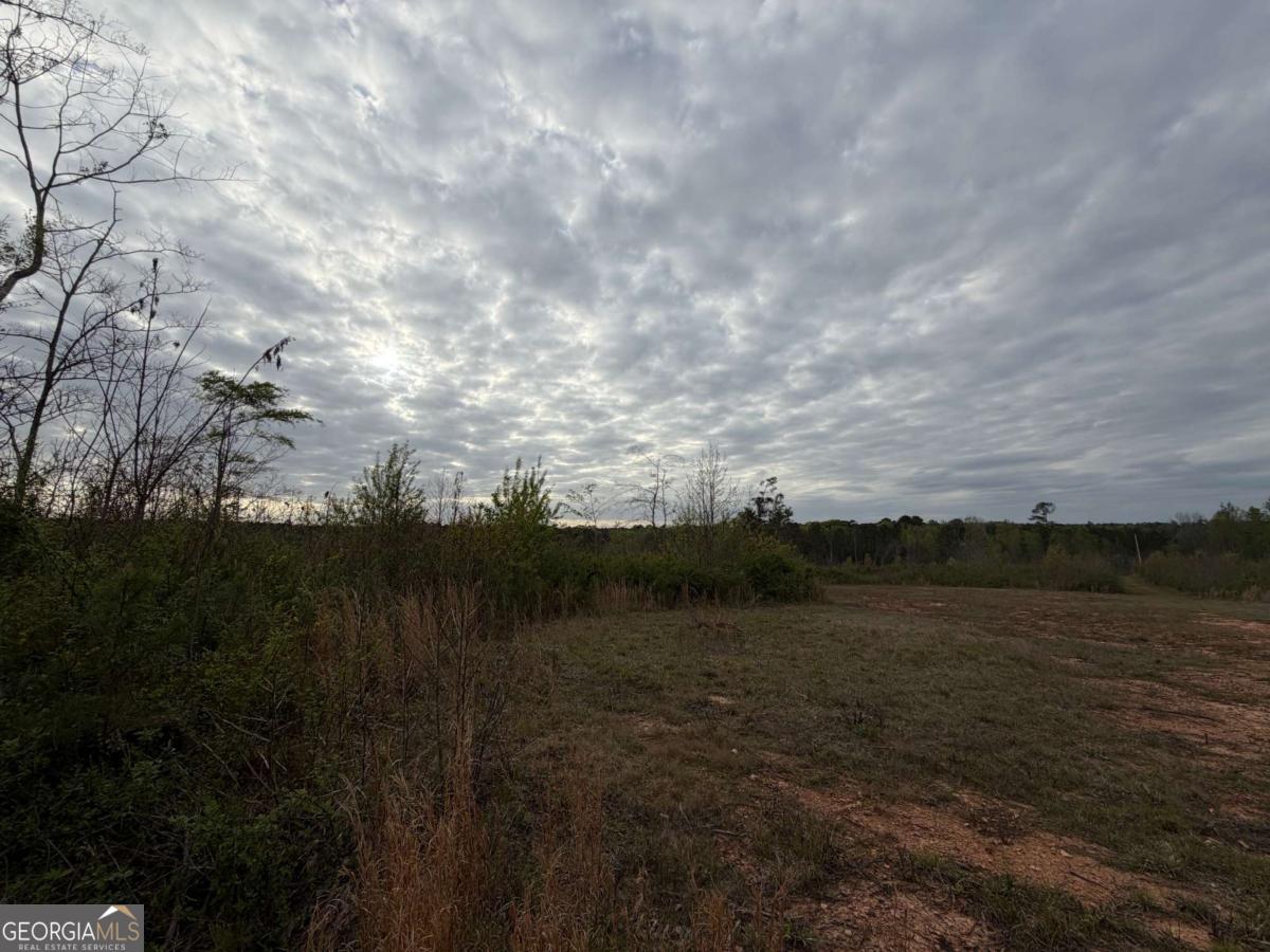 0 Lunceford Road Northeast Rayle, GA 30660 - Photo 5 of 7 a view of a lake from a yard