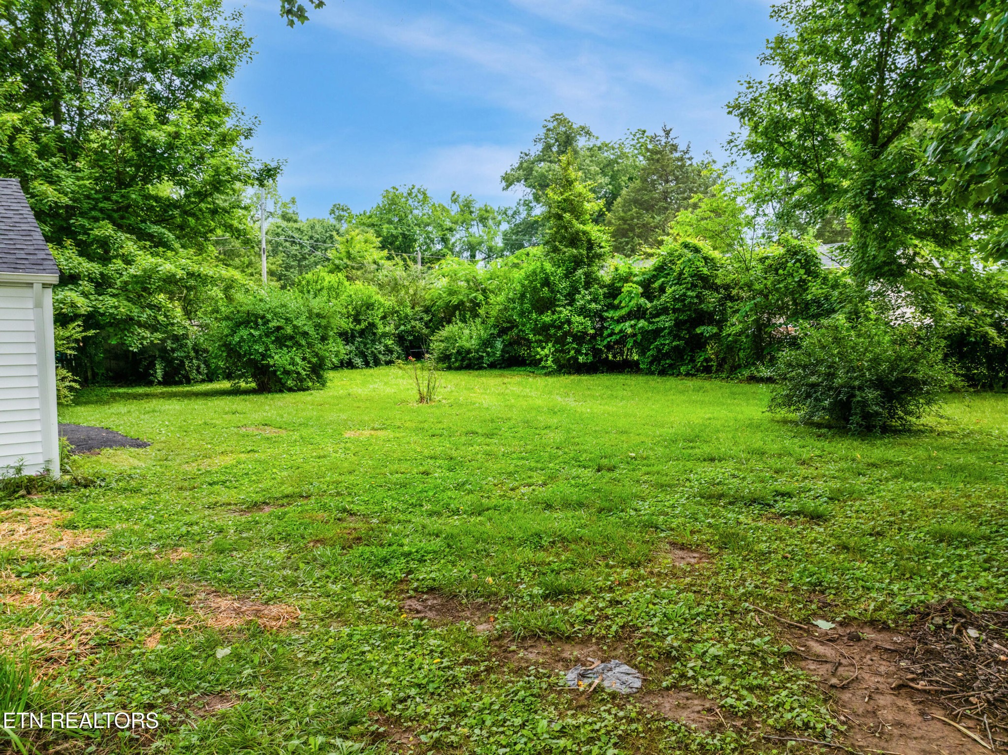 207 Shipe Road Powell, TN 37849 - Photo 4 of 23 a view of a green field with lots of bushes