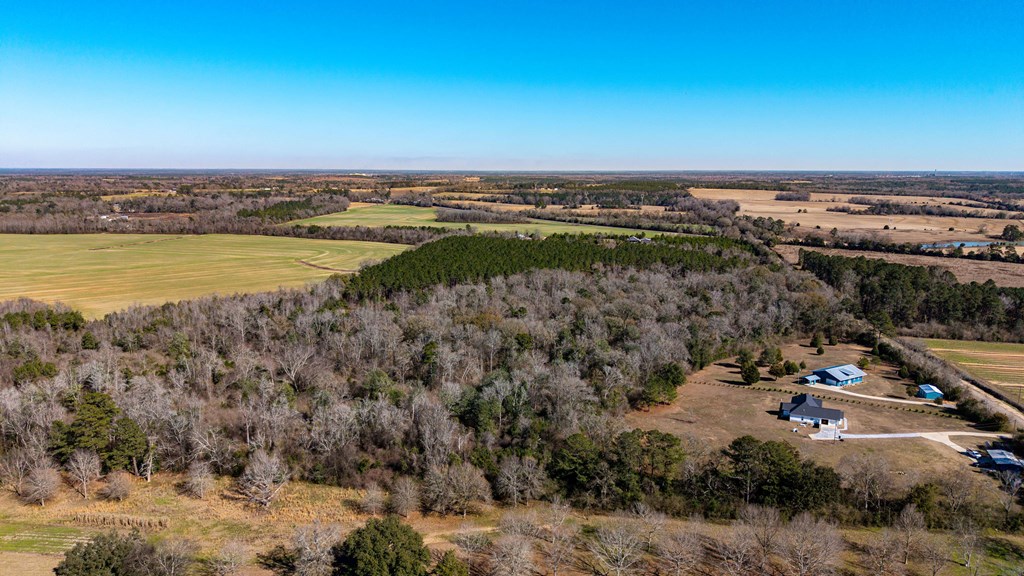 0 Bruner Pond Road Ashford, AL 36312 - Photo 7 of 30