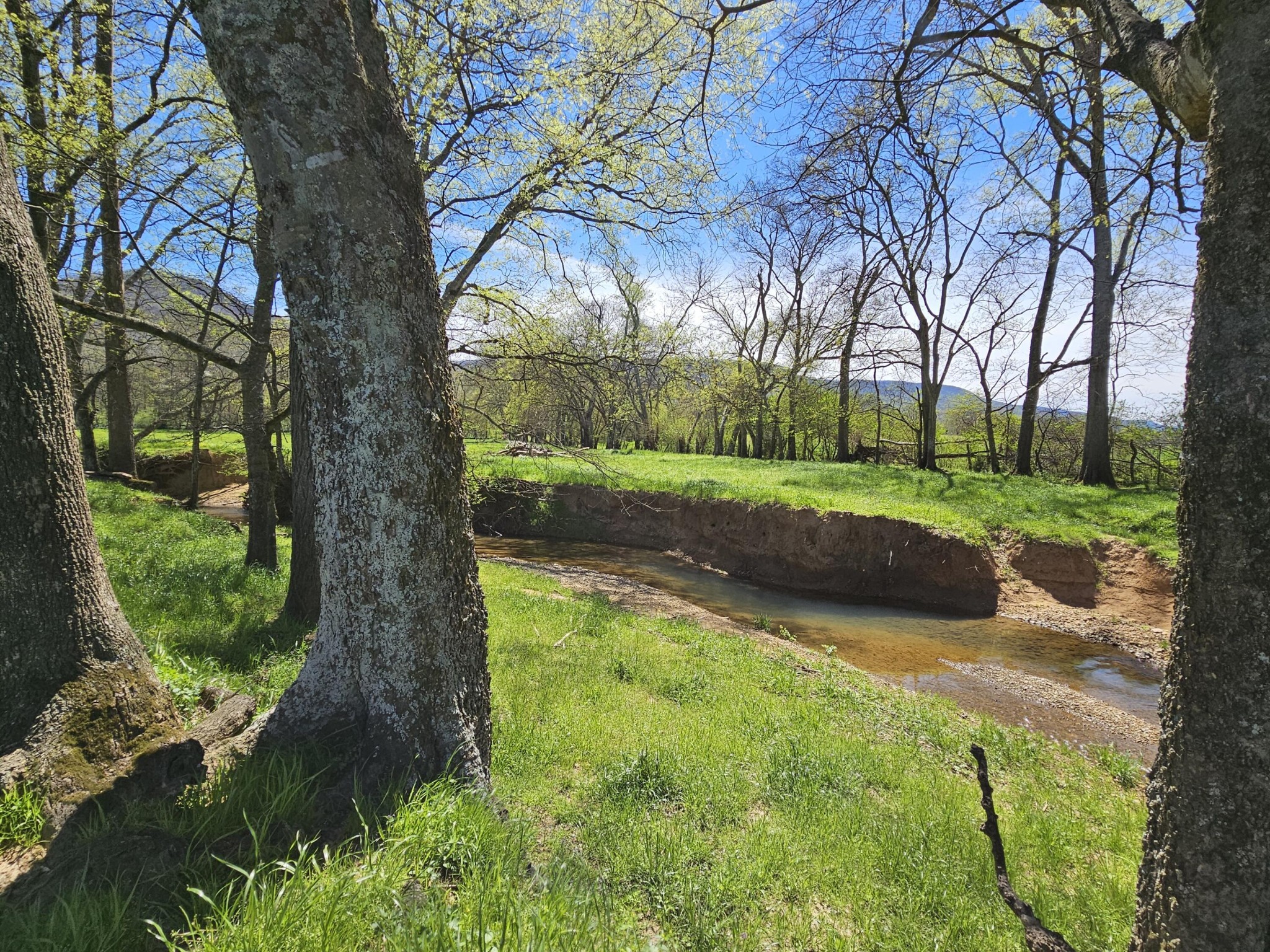 495 Lower East Valley Road Dunlap, TN 37327 - Photo 21 of 58 Gallery Image 21