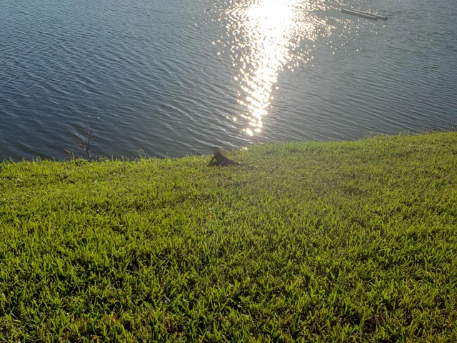 a car parked on the side of the road