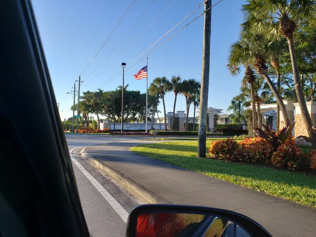 a view of a park with large trees