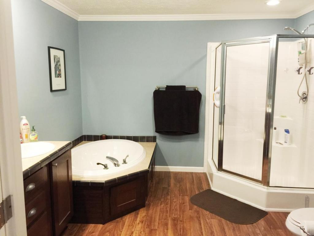 330 Dykes Hill Road Limestone, TN 37681 - Photo 16 of 24 Master Bath