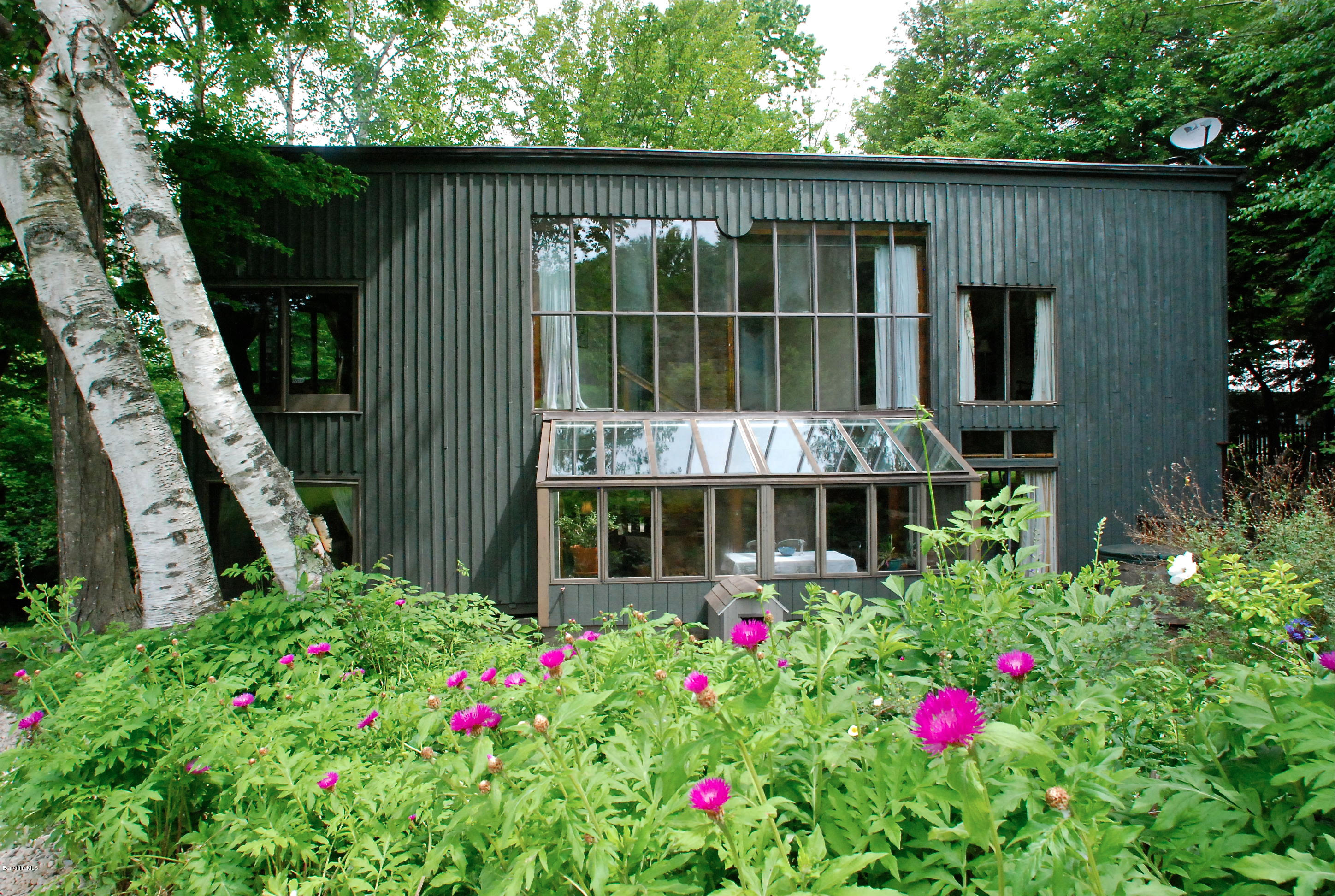 a backyard of a house with lots of green space and plants