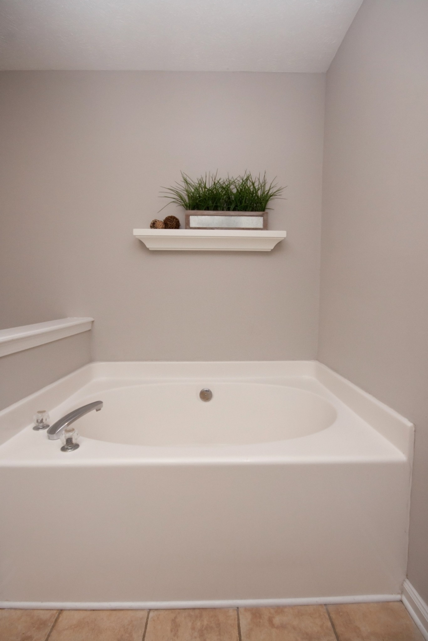 524 Windy Road Mount Juliet, TN 37122 - Photo 20 of 35 a bathroom with a bathtub and a potted plant