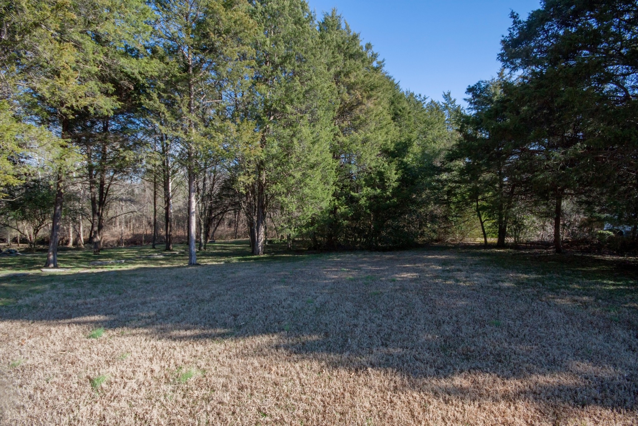 524 Windy Road Mount Juliet, TN 37122 - Photo 34 of 35 a view of a yard with a trees