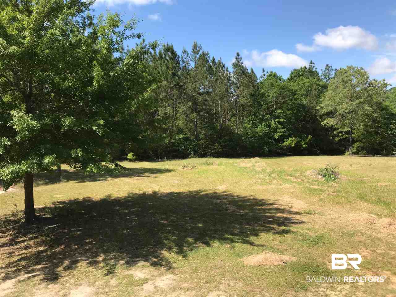 11910 Roberts Road Chunchula, AL 36521 - Photo 10 of 11