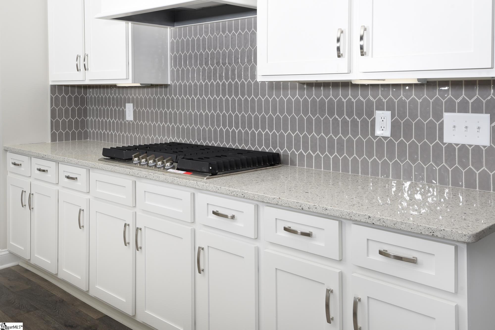 3 Martin Woods Way Fountain Inn, SC 29644 - Photo 6 of 23