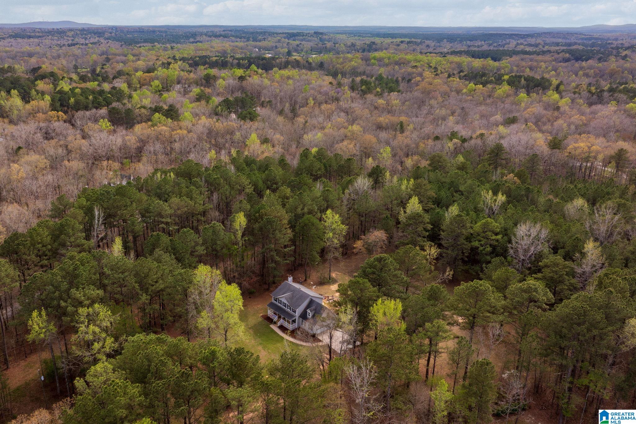 324 Dorough Road Columbiana, AL 35051 - Photo 66 of 70