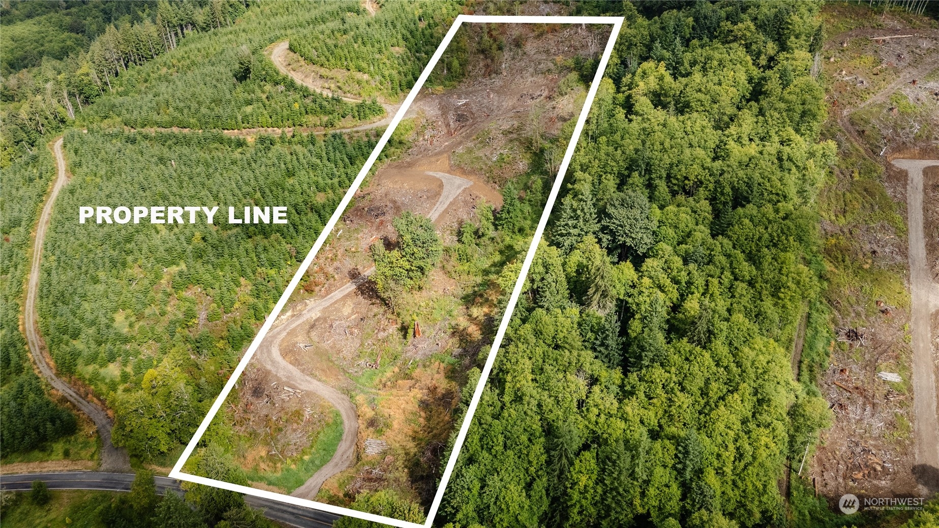 323 Short Road Morton, WA 98356 - Photo 16 of 16 a view of a yard