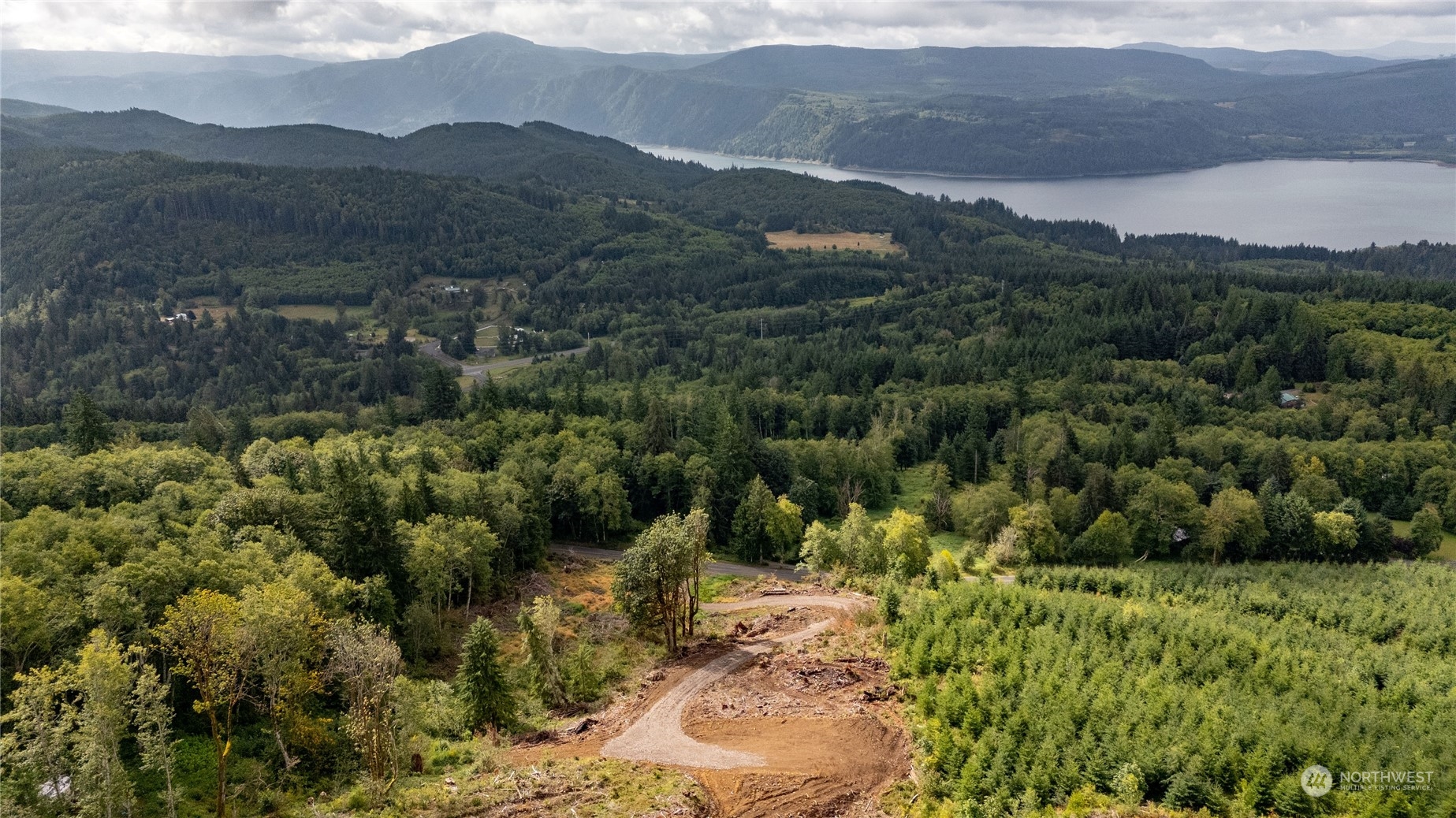 323 Short Road Morton, WA 98356 - Photo 3 of 16 a view of a forest with mountains in the background