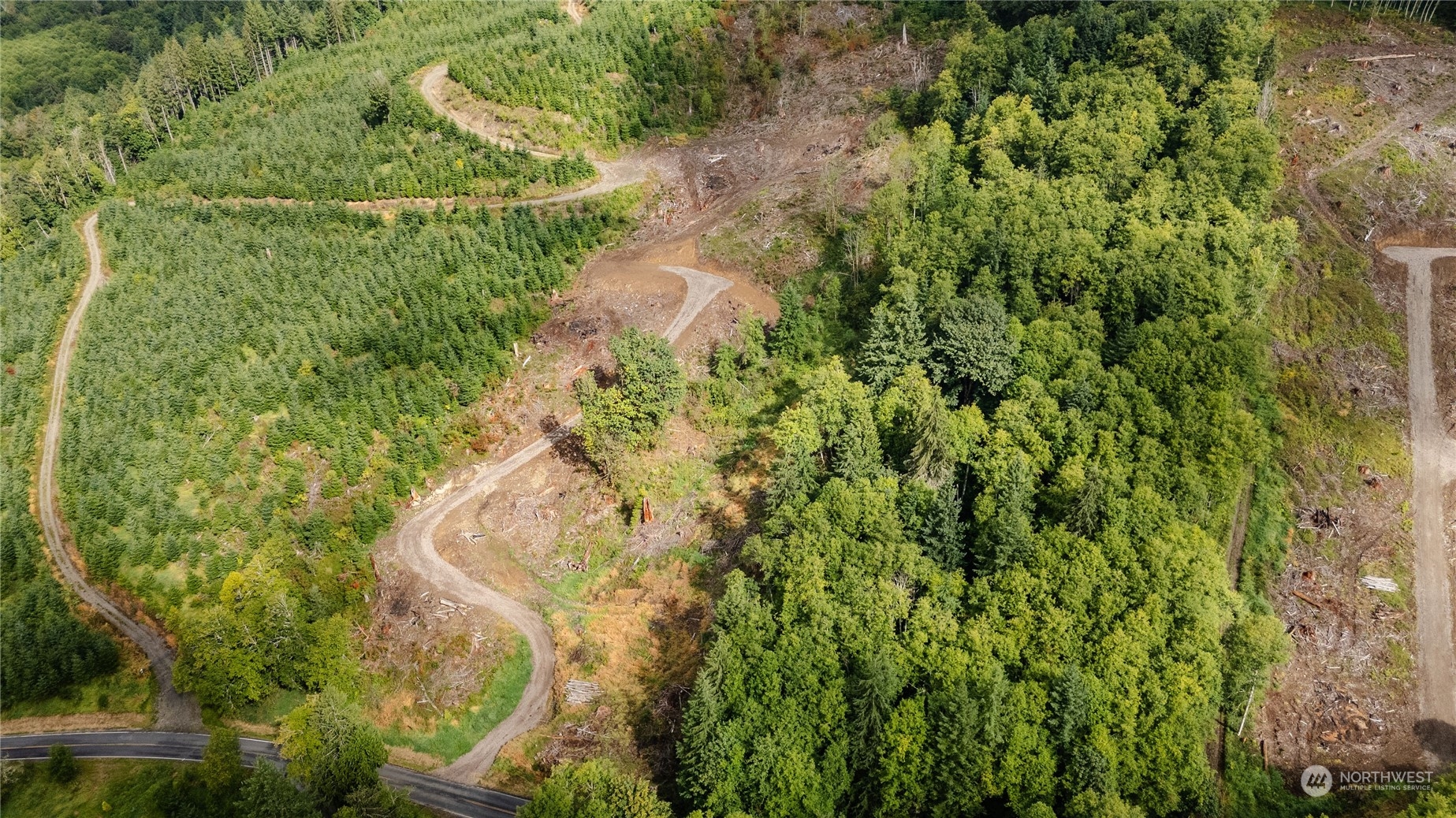 323 Short Road Morton, WA 98356 - Photo 7 of 16