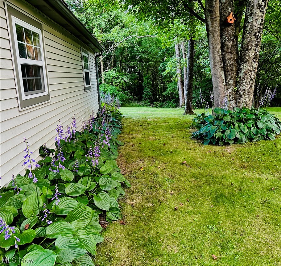 72895 Irish Ridge Road Kimbolton, OH 43749 - Photo 6 of 21 View of yard
